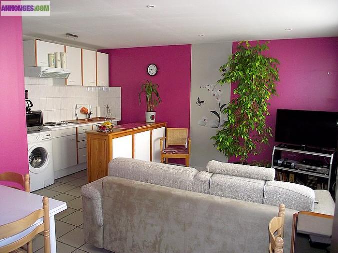 Ascq village Joli studio...