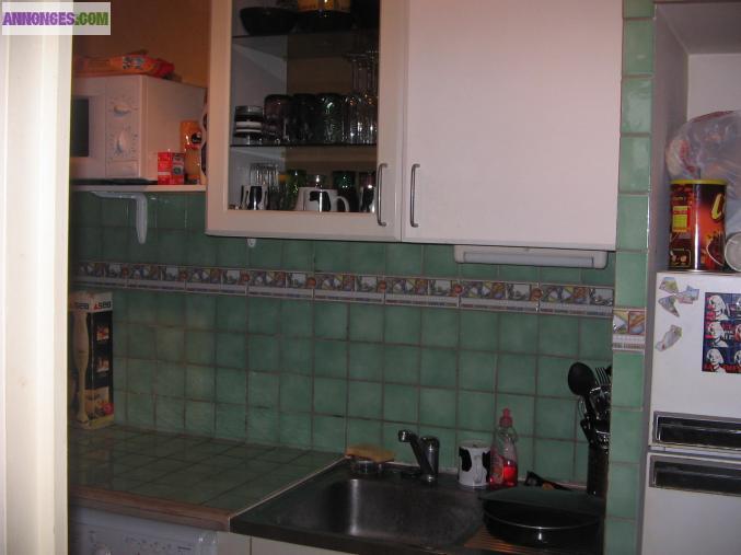 Logement coquet à 5 km sud Auxerre