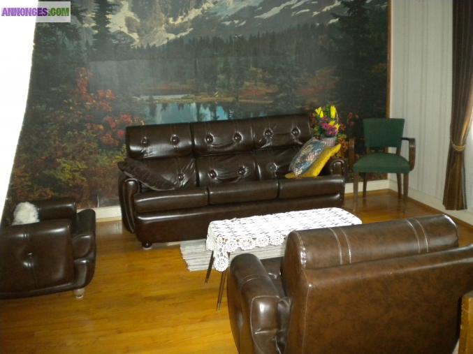 Affaire à saisir, au pied des pistes de ski