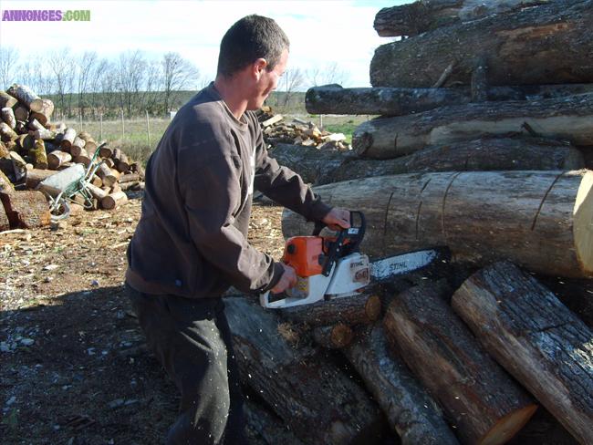 Bois de Chauffage Sec prêt à l’utilisation