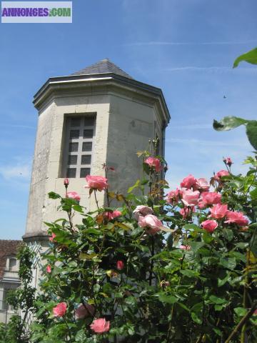 Meublé de tourisme à Loches