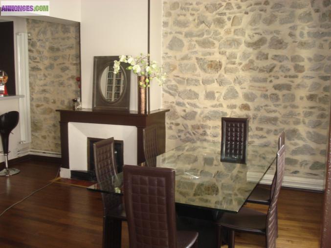 Duplex 101 M2 - Centre de Vienne