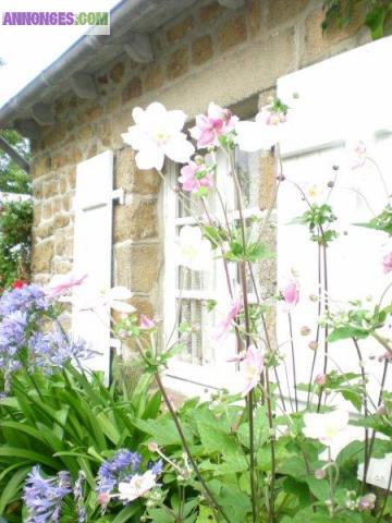 Petite maison granit sous ardoises ile sud Bréhat