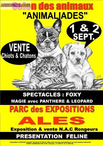 1/2 sept 2012 ALES ANIMALIADES salon des animaux parc des expos