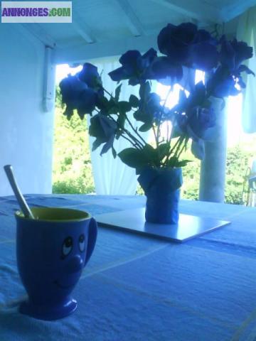 MAISON D'HOTES GUADELOUPE