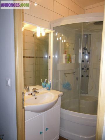 Maison de village R+2 rénovée, jardin piscine