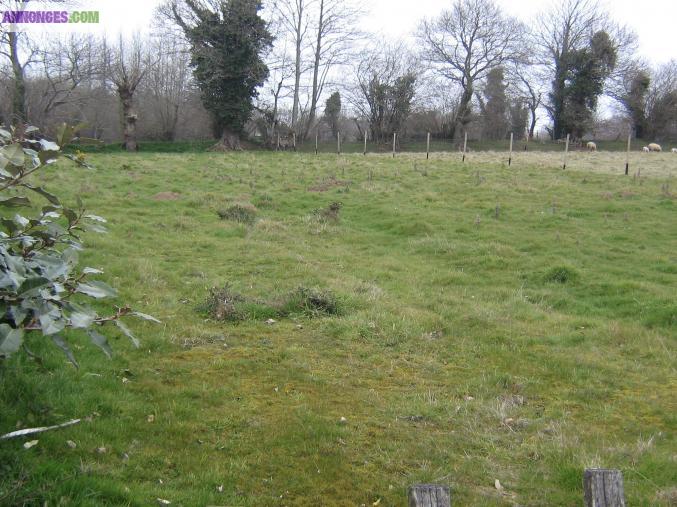 Terrain constructible