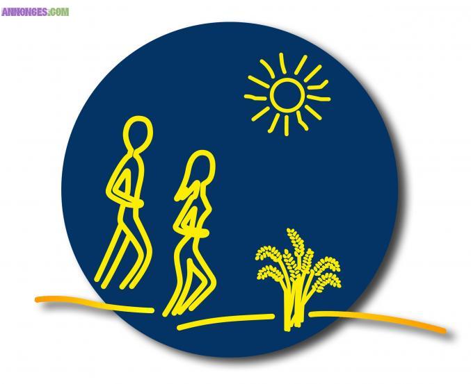 Conseil en nutrition