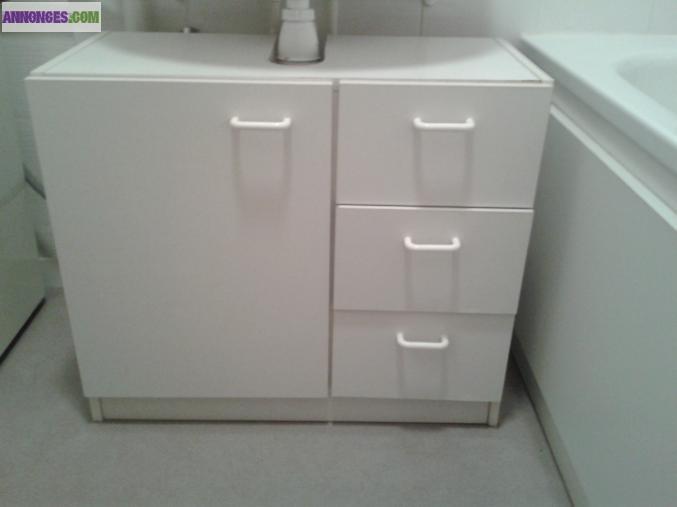 Meuble sous evier SDB