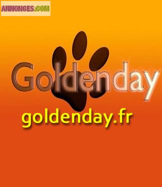 Service gardiennage animaux