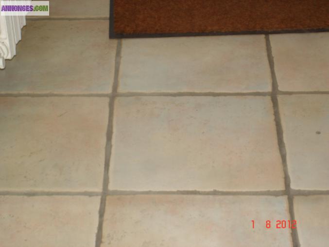 Lot de carrelage neuf 33x33
