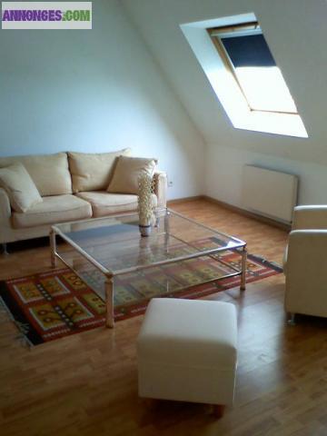 Strasbourg Koenigshofen loue splendide F2 meublé