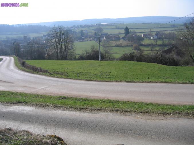 TERRAIN CONSTRUCTIBLE CU DELIVRE