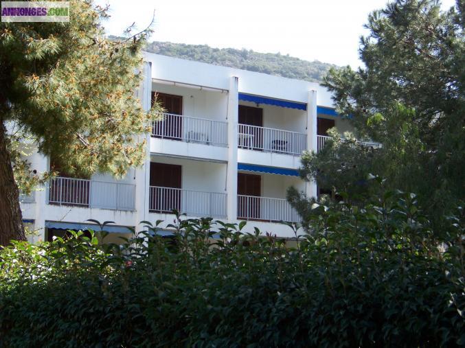 VENDS STUDIO CORSE DU SUD