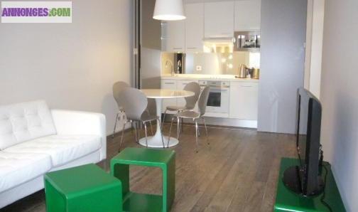 Appartement de 40m² 2 pièces meublé