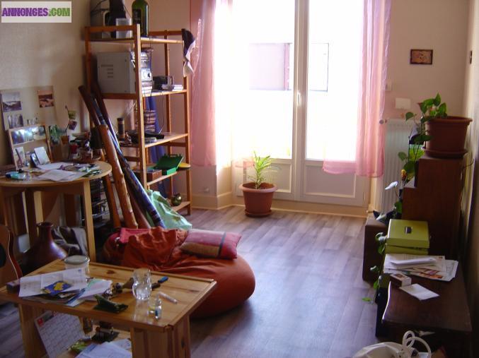 Urgent T2 60 m2 Grenoble stalingrad libre le 8 juin 2013