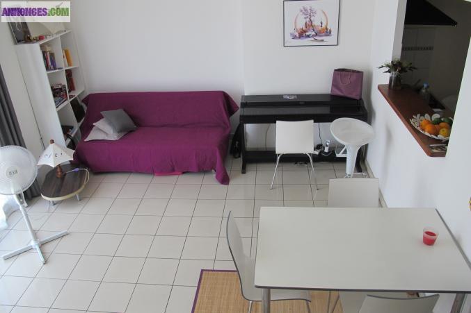 Bel Appartement duplex 580€