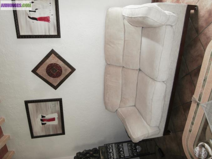 Salon canape + 1 fauteuil