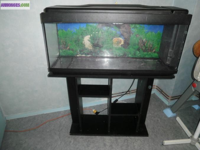Aquarium