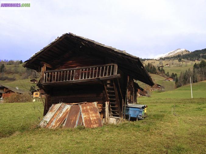 Execptionnel Superbe Chalet Ancien Grand Bornand