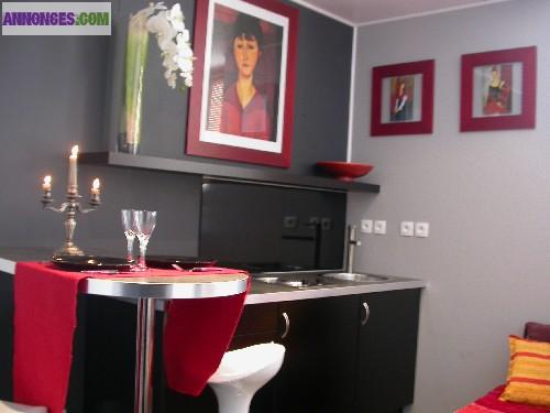 Appartement F1 meublé