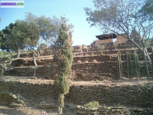 Beau terrain et cabanon proche mer et Banyuls (66)