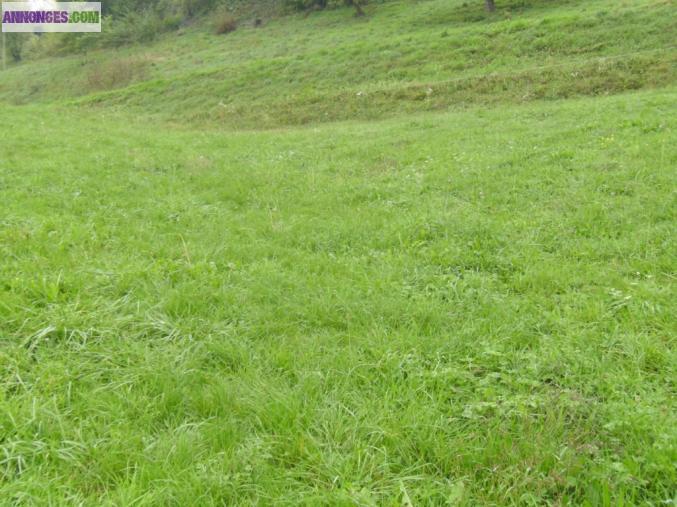 Terrain à bâtir:4046m²