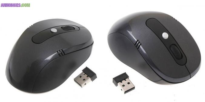 SOURIS Sans fil 2.4Ghz, 5 Boutons - 800 / 1600 DDP