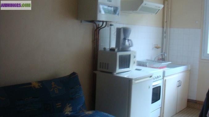 Loue f1 centre mont dore