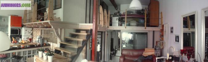 Loft 90 m2 avec jardin, exposition idéale nord-ouest (baisse de prix)