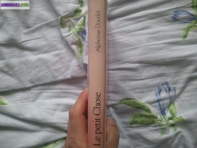 Le petit chose d'alphonse daudet