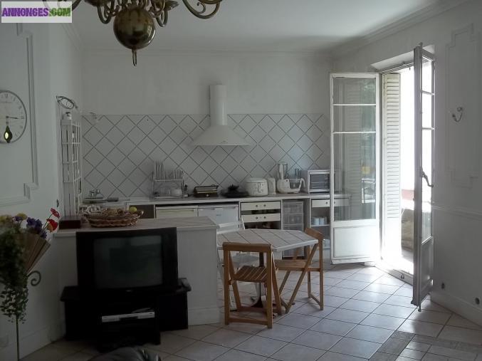 GRENOBLE Aigle T3 80 m²