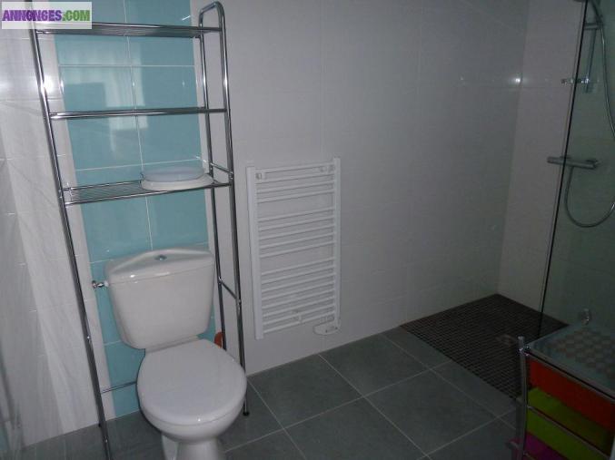 Location studio 25 M² à La Roche Sur Yon (85000)