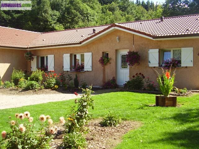 Hautes Vosges L'excel Plain pied traditionnel 2007 au calme