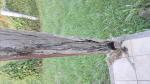 Particulier terrain constructible - Miniature