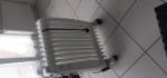 Radiateur bain huile - Miniature