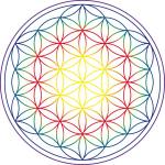 Propose massages rebouteux et relaxant - Miniature