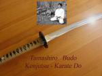 Tamashiro budo – cours de kenjutsu et karate do – paris... - Miniature
