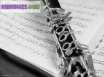 Cours de clarinette/ solfège et de chant - Miniature