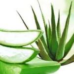 Beauté/bien-être  - Miniature