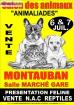 Salont du chiot et du chaton bergrac 6 et 7 juillet... - Miniature