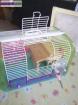 Cage pour hamster - Miniature