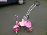 Tricycle rose - Miniature