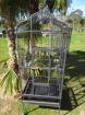 Cage perroquet - Miniature
