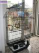 Voliere cage oiseaux inséparable cockatiels perruche... - Miniature