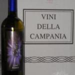 Vins italiens- lot - Miniature