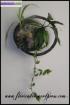 Cadre végétal artisanal en raphia - floricadre - Miniature