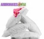 Menage repassage garde - Miniature